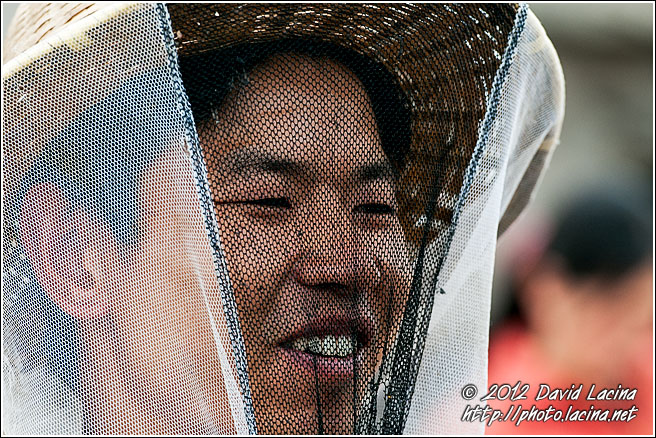 Beekeeper - Luoping, China