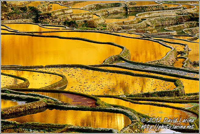 Yuanyang Rice Fields - Yuanyang, China