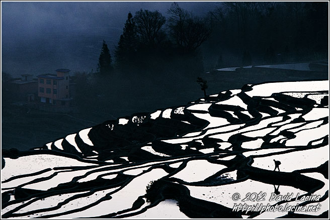 Walking Through Rice Fields - Yuanyang, China