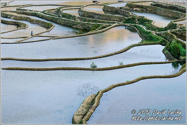 Walking Through Rice Fields - Yuanyang, China