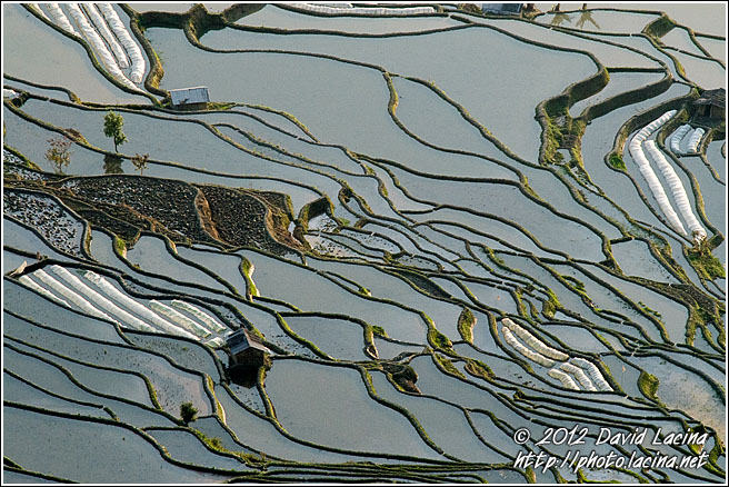 Tiger Mouth - Yuanyang, China