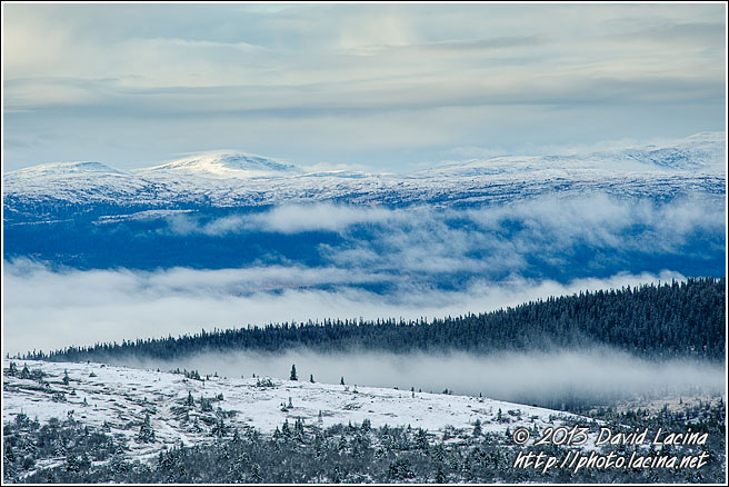 Trysil Winter Landscape - Best Of 2012, Norway