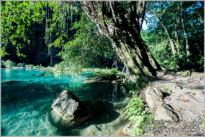 Semuc Champey Limestone Pools - Best Of, Guatemala