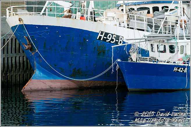 Fishing Boats In Harbour - Lofoten 2013, Norway