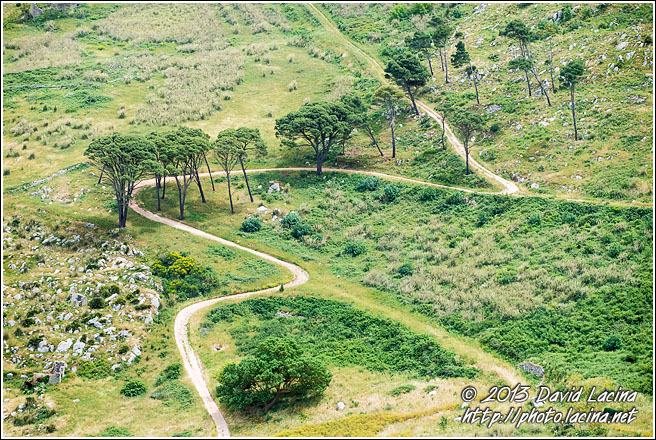 Rural Path - Sicily, Italy