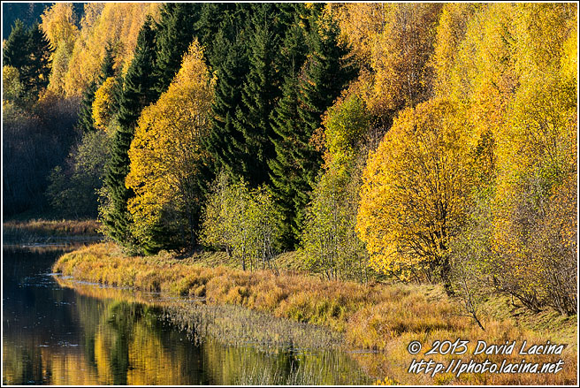 Autumn Colours - Best Of 2013, Norway