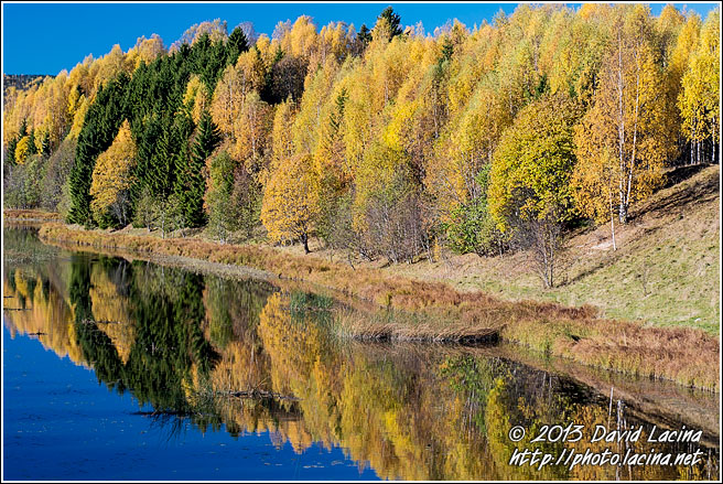 Nitelva In Autumn - Best Of 2013, Norway