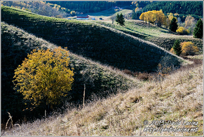 Autumn In Nittedal - Best Of 2013, Norway