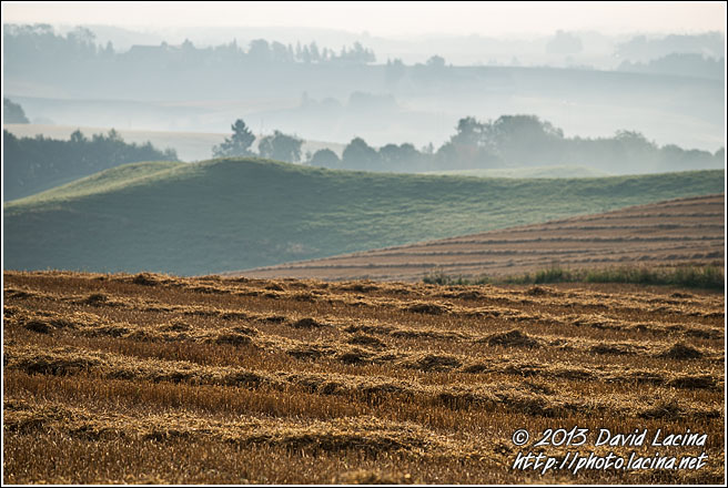 Fields - Best Of 2013, Norway