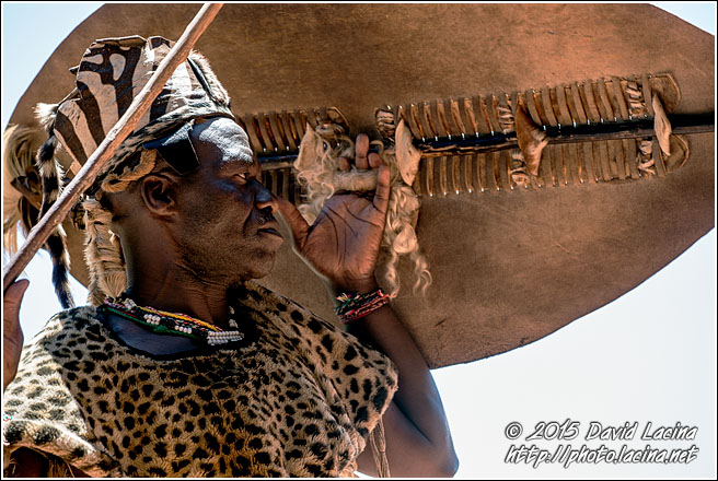 Zulu Warrior - Best Of SA, South Africa