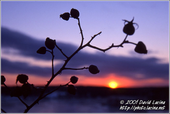 Sunset With Hips - Best of 2001, Norway