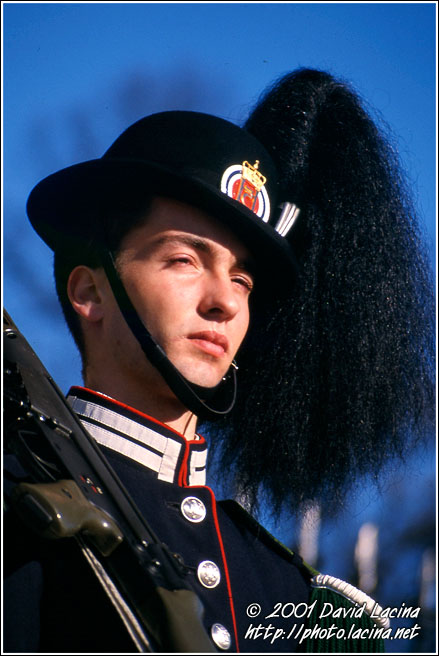 Guard - Best of 2001, Norway
