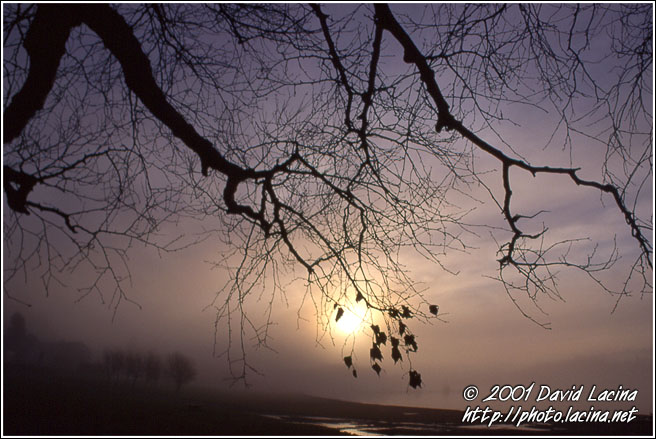 Foggy Day - Best of 2001, Norway