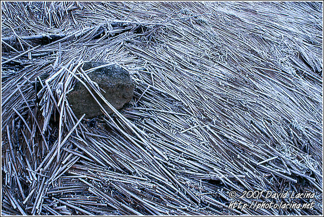 Frozen Abstraction - Best of 2001, Norway