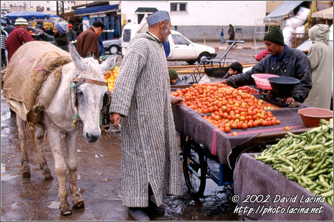 Shopping In Souq, Meknes - Best Of Marocco, Marocco