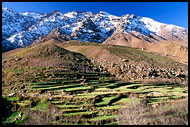 Terraces Near Ouanerska, Best Of Marocco, Marocco