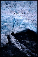 Walking On Svellnosbreen Glacier, Jotunheimen II, Norway