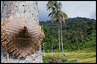 The Rest, Lake Maninjau, Indonesia