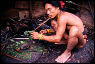 Preparing The Poisonous Arrows, Siberut island, Indonesia