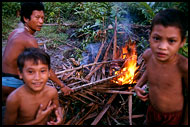 Roasting The Pig, Siberut island, Indonesia