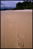Footprints On Beach, Langkawi, Malaysia