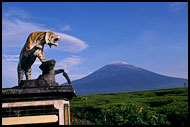 Welcome To Kerinci National Park., Kerinci, Indonesia