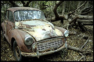 Old Car, Hato Caves Path, Best Of Curaçao, Curaçao