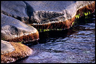 Coast Detail, Best of 2003, Norway