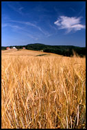 Farm Field II., Best of 2003, Norway