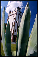 Cactus Castle, Northern Moravia, Czech republic