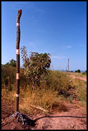 Marriage Pole, Lobi tribe, Ghana