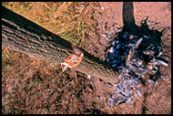 Marriage Pole Detail, Lobi tribe, Ghana