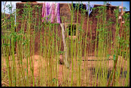 Dream House, Kassena tribe, Ghana