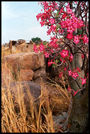 Lost Eden, Talensi land, Ghana