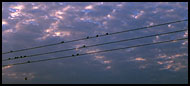 Wires, Birds And Clouds, Panoramas, Ghana