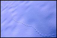 Small Steps Of Long Journey, Best of 2004, Norway