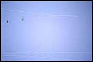 Where Now?, Best of 2004, Norway