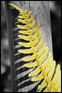 A Ladder, Best of 2004, Norway
