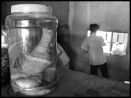 Food Is Ready, Vietnam in B&W, Vietnam