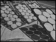 Drying Rice, Vietnam in B&W, Vietnam