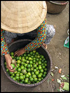 Seller On A Local Market, Vietnam In Color, Vietnam