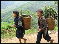 Tribal Kids, Vietnam In Color, Vietnam