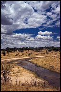 Tarangire Scenery, Tarangire NP, Tanzania