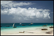 Coast Scenery, Northern Zanzibar, Tanzania