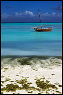 Colours Of Zanzibar, Northern Zanzibar, Tanzania
