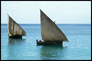 Dhows On Sea, Stone Town, Tanzania