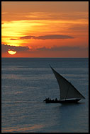 Day Is Leaving, Stone Town, Tanzania