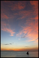 Sunset On Zanzibar, Stone Town, Tanzania