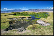 Landscape Of The Crater, Ngorongoro Crater, Tanzania