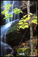 Tree By A Waterfall, Best of 2004, Norway